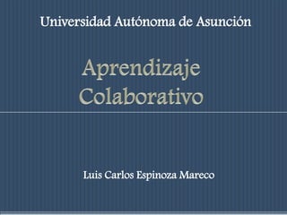 Universidad Autónoma de Asunción Aprendizaje Colaborativo Luis Carlos Espinoza Mareco 