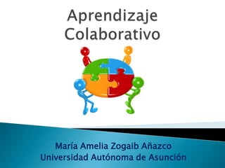 María Amelia Zogaib Añazco
Universidad Autónoma de Asunción
 