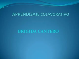 BRIGIDA CANTERO
 