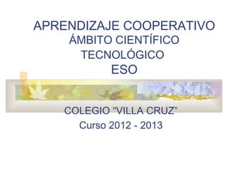 APRENDIZAJE COOPERATIVO
    ÁMBITO CIENTÍFICO
     TECNOLÓGICO
           ESO


   COLEGIO “VILLA CRUZ”
     Curso 2012 - 2013
 