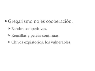 ➤Gregarismo no es cooperación.
➤ Bandas competitivas.
➤ Rencillas y peleas continuas.
➤ Chivos expiatorios: los vulnerables.
 