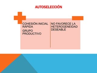 AUTOSELECCIÓN
COHESIÓN INICIAL
RÁPIDA
GRUPO
PRODUCTIVO
NO FAVORECE LA
HETEROGENEIDAD
DESEABLE
 