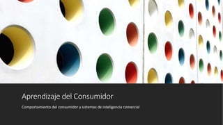 Aprendizaje del Consumidor
Comportamiento del consumidor y sistemas de inteligencia comercial
 
