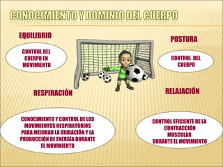EQUILIBRIO RESPIRACIÓN POSTURA RELAJACIÓN CONTROL EFICIENTE DE LA CONTRACCIÓN MUSCULAR DURANTE EL MOVIMIENTO CONTROL DEL CUERPO EN MOVIMIENTO CONOCIMIENTO Y CONTROL DE LOS MOVIMIENTOS RESPIRATORIOS PARA MEJORAR LA OXIDACIÓN Y LA PRODUCCIÓN DE ENERGÍA DURANTE EL MOVIMIENTO CONTROL EFICIENTE DE LA CONTRACCIÓN MUSCULAR DURANTE EL MOVIMIENTO CONTROL  DEL CUERPO 