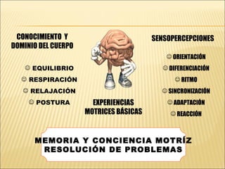 EXPERIENCIAS MOTRICES BÁSICAS SENSOPERCEPCIONES CONOCIMIENTO  Y DOMINIO DEL CUERPO EQUILIBRIO RESPIRACIÓN RELAJACIÓN POSTURA ORIENTACIÓN DIFERENCIACIÓN RITMO SINCRONIZACIÓN ADAPTACIÓN REACCIÓN MEMORIA Y CONCIENCIA MOTRÍZ RESOLUCIÓN DE PROBLEMAS 