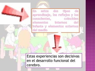 Estas experiencias son decisivas
en el desarrollo funcional del
cerebro.
 