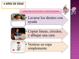 4 AÑOS DE EDAD




                 • Lavarse los dientes con
                   ayuda

                 • Copiar líneas, círculos,
                   y dibujar una cara

                 • Vestirse en ropa
                   simplemente
 