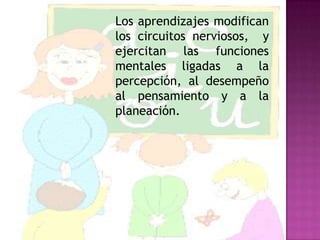 Los aprendizajes modifican
los circuitos nerviosos, y
ejercitan las funciones
mentales ligadas a la
percepción, al desempeño
al pensamiento y a la
planeación.
 