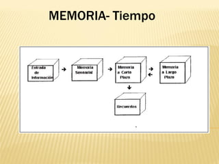 MEMORIA- Tiempo
 