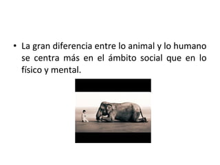 • La gran diferencia entre lo animal y lo humano
  se centra más en el ámbito social que en lo
  físico y mental.
 