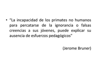 • “La incapacidad de los primates no humanos
  para percatarse de la ignorancia o falsas
  creencias a sus jóvenes, puede explicar su
  ausencia de esfuerzos pedagógicos”

                             (Jerome Bruner)
 