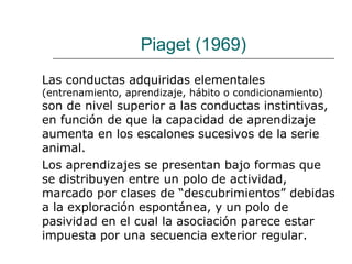 Piaget (1969) 
Las conductas adquiridas elementales 
(entrenamiento, aprendizaje, hábito o condicionamiento) 
son de nivel superior a las conductas instintivas, 
en función de que la capacidad de aprendizaje 
aumenta en los escalones sucesivos de la serie 
animal. 
Los aprendizajes se presentan bajo formas que 
se distribuyen entre un polo de actividad, 
marcado por clases de “descubrimientos” debidas 
a la exploración espontánea, y un polo de 
pasividad en el cual la asociación parece estar 
impuesta por una secuencia exterior regular. 
 