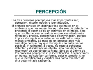 PERCEPCIÓN 
Los tres procesos perceptivos más importantes son; 
detección, discriminación e identificación. 
El primero consiste en distinguir los estímulos en el 
ambiente que nos rodea. No se trata sólo de detectar la 
presencia o ausencia de un estímulo en el medio, sino 
que resulta necesario realizar un procesamiento más 
refinado y preciso, denominado discriminación, porque 
implica distinguir uno entre varios estímulos, más o 
menos similares. Se trata de un proceso algo más 
complejo porque hay que distinguir uno entre varios 
posibles. Finalmente, a veces, no resulta suficiente 
detectar y discriminar un objeto, sino que debemos 
reconocer de que objeto se trata. Este es el último de 
los procesos perceptivos: la identificación. Reconocemos 
un objeto, no solo por su forma, color o tamaño, sino 
que lo identificamos y clasificamos como miembro de 
una determinada categoría. 
 