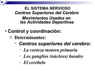 EL SISTEMA NERVIOSO Centros Superiores del Cerebro Movimientos Usados en las Actividades Deportivas Control y coordinación: Determinantes: Centros superiores del cerebro: La corteza motora primaria Los ganglios (núcleos) basales El cerebelo 