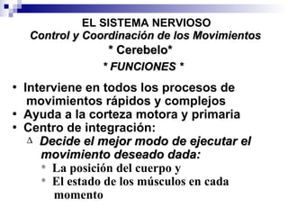 Interviene en todos los procesos de movimientos rápidos y complejos   Ayuda a la corteza motora y primaria   Centro de integración: Decide el mejor modo de ejecutar el  movimiento deseado dada: La posición del cuerpo y El estado de los músculos en cada  momento * Cerebelo* EL SISTEMA NERVIOSO Control y Coordinación de los Movimientos * FUNCIONES * 