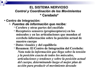 * Cerebelo* EL SISTEMA NERVIOSO Centro de Integración:  Fuentes de información que recibe: Cerebro y otras partes del encéfalo Receptores sensores (propioceptores) en los músculos y en las articulaciones que mandan al cerebelo información sobre la posición actual de  nuestro cuerpo Datos visuales y del equilibrio Resumen: El Centro de Integración del Cerebelo: Nota toda la información que llega sobre la tensión y la posición exacta de todos los músculos,  articulaciones y tendones y sobre la posición actual del cuerpo, determinando luego el mejor plan de acción para producir el movimiento deseado Control y Coordinación de los Movimientos 