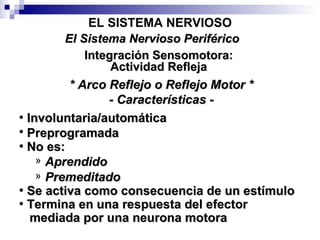 EL SISTEMA NERVIOSO Integración Sensomotora: Actividad Refleja El Sistema Nervioso Periférico Involuntaria/automática   Preprogramada   No es:   Aprendido Premeditado Se activa como consecuencia de un estímulo Termina en una respuesta del efector mediada por una neurona motora * Arco Reflejo o Reflejo Motor * - Características - 
