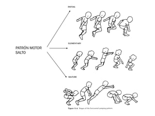 PATRÓN MOTOR
SALTO
 