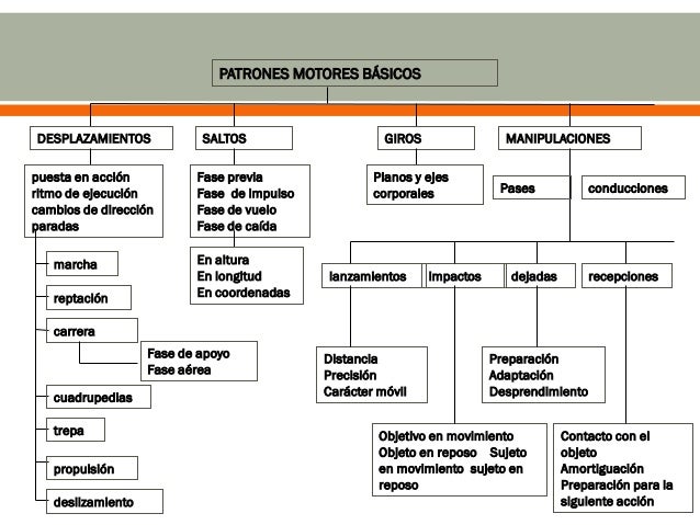 Aprendizaje motor