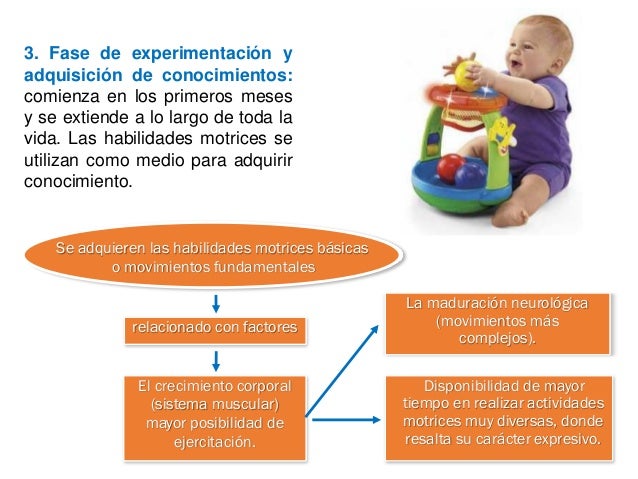 Aprendizaje motor