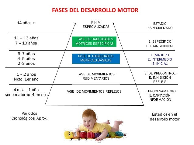 Aprendizaje motor