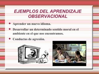 EJEMPLOS DEL APRENDIZAJE
OBSERVACIONAL
 Aprender un nuevo idioma.
 Desarrollar un determinado sentido moral en el
ambiente en el que nos encontramos.
 Conductas de agresión.
 