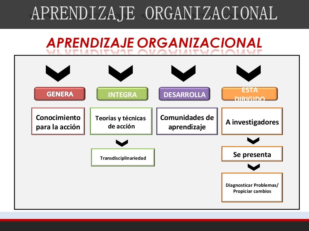 Aprendizaje organizacional pdcg diana palma
