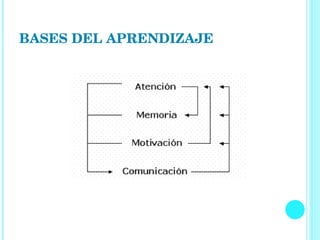 BASES DEL APRENDIZAJE   