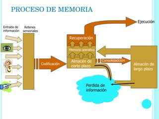 PROCESO DE MEMORIA Recuperación Almacén de  corto plazo Memoria operativa Almacén de  largo plazo Perdida de  información Consolidadción Codificación Retenes  sensoriales Entrada de información Ejecución 