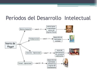 Períodos del Desarrollo Intelectual
 
