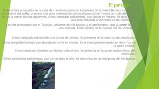 El paisaje 
El Municipio se localiza en la zona de transición entre los templados de la Sierra Norte y los cálidos 
del declive del golfo; presenta una gran variedad de climas dispuestos en franjas latitudinales y van 
de sur a norte; son los siguientes: clima templado subhúmedo, con lluvias en verano. Se localiza en 
una área reducida al extremo sur del municipio. 
Los ríos principales son el Texpilco, afluente del río Apulco, y el Atehuetzian, que al oeste forma 
una cascada, todos dentro de la cuenca del río Tecolutla. 
Clima templado subhúmedo con lluvias de verano. Se presenta en la zona sur del municipio. 
Clima templado húmedo con abundante lluvia en verano. Es el clima predominante se identifica en 
la parte central. 
Clima templado húmedo con lluvias todo el año. Se presenta en la parte septentrional del 
municipio. 
Clima semicálido subhúmedo, con lluvias todo el año. Se identifica en las márgenes del río Apulco. 
 