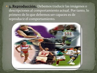  3. Reproducción. Debemos traducir las imágenes o
 descripciones al comportamiento actual. Por tanto, lo
 primero de lo que debemos ser capaces es de
 reproducir el comportamiento.
 