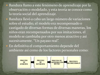  Bandura llamo a este fenómeno de aprendizaje por la
  observación o modelado, y esta teoría se conoce como
  la teoría social del aprendizaje.
 Bandura llevó a cabo un largo número de variaciones
  sobre el estudio, el modelo era recompensado o
  castigado de diversas formas de diversas maneras, los
  niños eran recompensados por sus imitaciones, el
  modelo se cambiaba por otro menos atractivo y así
  sucesivamente. “Un payaso real”.
 En definitiva el comportamiento depende del
  ambiente así como de los factores personales como:
 