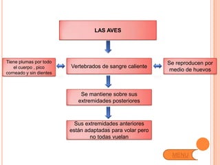 LAS AVES




Tiene plumas por todo                                      Se reproducen por
   el cuerpo , pico      Vertebrados de sangre caliente
                                                           medio de huevos
corneado y sin dientes



                             Se mantiene sobre sus
                            extremidades posteriores



                           Sus extremidades anteriores
                         están adaptadas para volar pero
                                 no todas vuelan


                                                            MENU
 