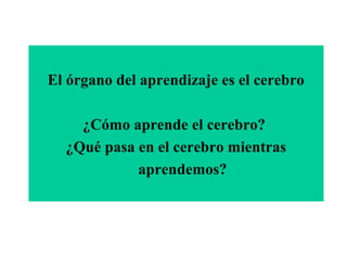 El órgano del aprendizaje es el cerebro

    ¿Cómo aprende el cerebro?
  ¿Qué pasa en el cerebro mientras
            aprendemos?
 