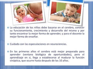  La educación de los niños debe basarse en el cerebro, conocer
su funcionamiento, crecimiento y desarrollo del mismo y por
tanto encontrar la mejor forma de aprender, y para el docente la
mejor forma de enseñar.
 Cuidado con las especulaciones en neurociencias.
 En los primeros años el cerebro está mejor preparado para
aprender (ventana biológica de oportunidades), pero el
aprendizaje en si, llega a establecerse al madurar la función
sináptica, que ocurre hasta después de los 10 años.
 