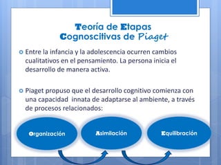 Teoría de Etapas
Cognoscitivas de Piaget
 Entre la infancia y la adolescencia ocurren cambios
cualitativos en el pensamiento. La persona inicia el
desarrollo de manera activa.
 Piaget propuso que el desarrollo cognitivo comienza con
una capacidad innata de adaptarse al ambiente, a través
de procesos relacionados:
Organización Asimilación Equilibración
 