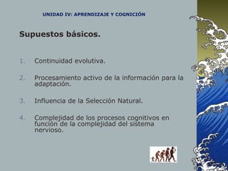 UNIDAD IV: APRENDIZAJE Y COGNICIÓN
Supuestos básicos.
1. Continuidad evolutiva.
2. Procesamiento activo de la información para la
adaptación.
3. Influencia de la Selección Natural.
4. Complejidad de los procesos cognitivos en
función de la complejidad del sistema
nervioso.
 