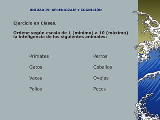 UNIDAD IV: APRENDIZAJE Y COGNICIÓN
Ejercicio en Clases.
Ordene según escala de 1 (mínimo) a 10 (máximo)
la inteligencia de los siguientes animales:
Primates Perros
Gatos Caballos
Vacas Ovejas
Pollos Peces
 