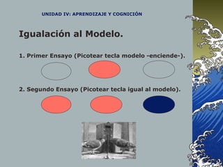 UNIDAD IV: APRENDIZAJE Y COGNICIÓN
Igualación al Modelo.
1. Primer Ensayo (Picotear tecla modelo -enciende-).
2. Segundo Ensayo (Picotear tecla igual al modelo).
 