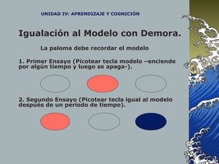 UNIDAD IV: APRENDIZAJE Y COGNICIÓN
Igualación al Modelo con Demora.
La paloma debe recordar el modelo
1. Primer Ensayo (Picotear tecla modelo –enciende
por algún tiempo y luego se apaga-).
2. Segundo Ensayo (Picotear tecla igual al modelo
después de un período de tiempo).
 