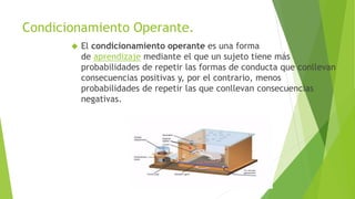 Condicionamiento Operante.
 El condicionamiento operante es una forma
de aprendizaje mediante el que un sujeto tiene más
probabilidades de repetir las formas de conducta que conllevan
consecuencias positivas y, por el contrario, menos
probabilidades de repetir las que conllevan consecuencias
negativas.
 