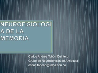 Carlos Andrés Tobón Quintero
Grupo de Neurociencias de Antioquia
carlos.tobonq@udea.edu.co
 