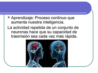 Aprendizaje: Proceso continuo que
aumenta nuestra inteligencia.
La actividad repetida de un conjunto de
neuronas hace que su capacidad de
trasmisión sea cada vez más rápida.
 