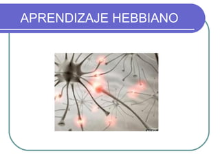 APRENDIZAJE HEBBIANO
 