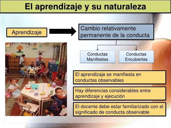 Descripcion Del Proceso De Aprendizaje Naturaleza