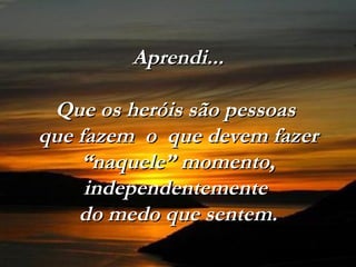Aprendi... Que os heróis são pessoas  que fazem  o  que devem fazer “naquele” momento, independentemente  do medo que sentem. 