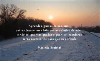 Aprendi algumas coisas, sim,
outras trazem uma luta enorme dentro de mim,
 e não sei quantas quedas e quantos levantares
     serão necessários para que eu aprenda.

               Mas não desisto!
 