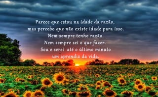 Parece que estou na idade da razão,
mas percebo que não existe idade para isso.
        Nem sempre tenho razão.
       Nem sempre sei o que fazer.
     Sou e serei até o último minuto
          um aprendiz da vida.
 