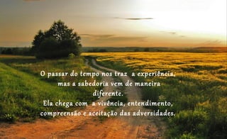 O passar do tempo nos traz a experiência,
mas a sabedoria vem de maneira
diferente.
Ela chega com a vivência, entendimento,
compreensão e aceitação das adversidades.
 